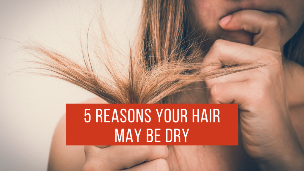 5 reasons for dry hair - LookAfter Hair Company