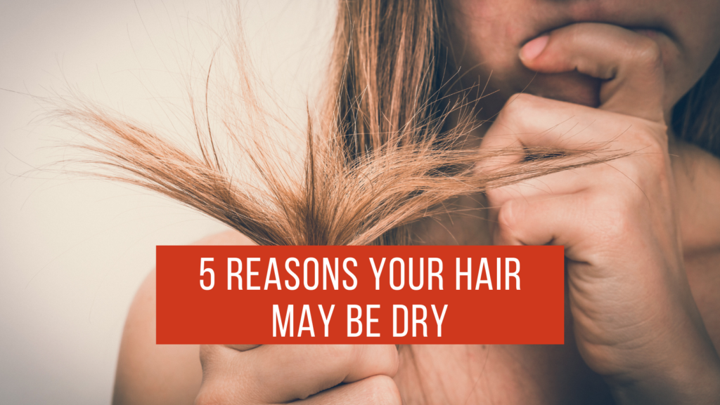 Part two why is my hair so dry Discover the six reasons you might h   TikTok